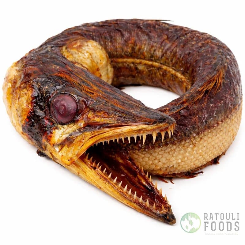 Barracuda affumicato