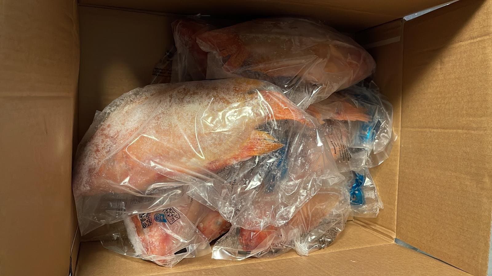 Einzeln abgepackte rote Tilapia im Exportkarton